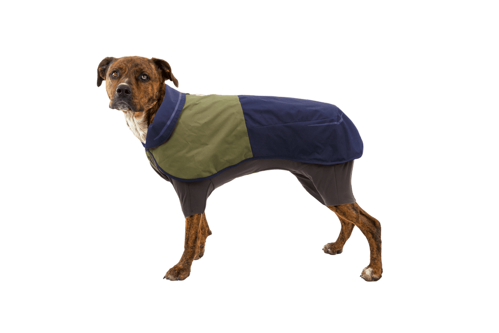 Hund im Sun Shower™ Coverall Regenanzug, bunt und schützend, ideal für regnerische Tage und aktive Spaziergänge.