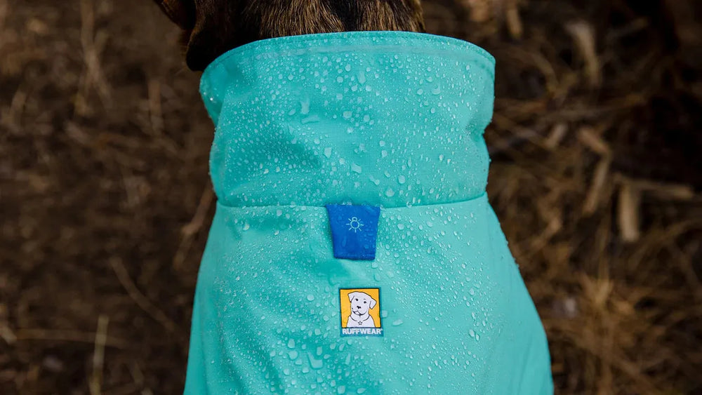 Hund im hellblauen Sun Shower™ Regenmantel, geschützt vor Wassertropfen, mit Hundelogo und sonnigem Aufnäher.