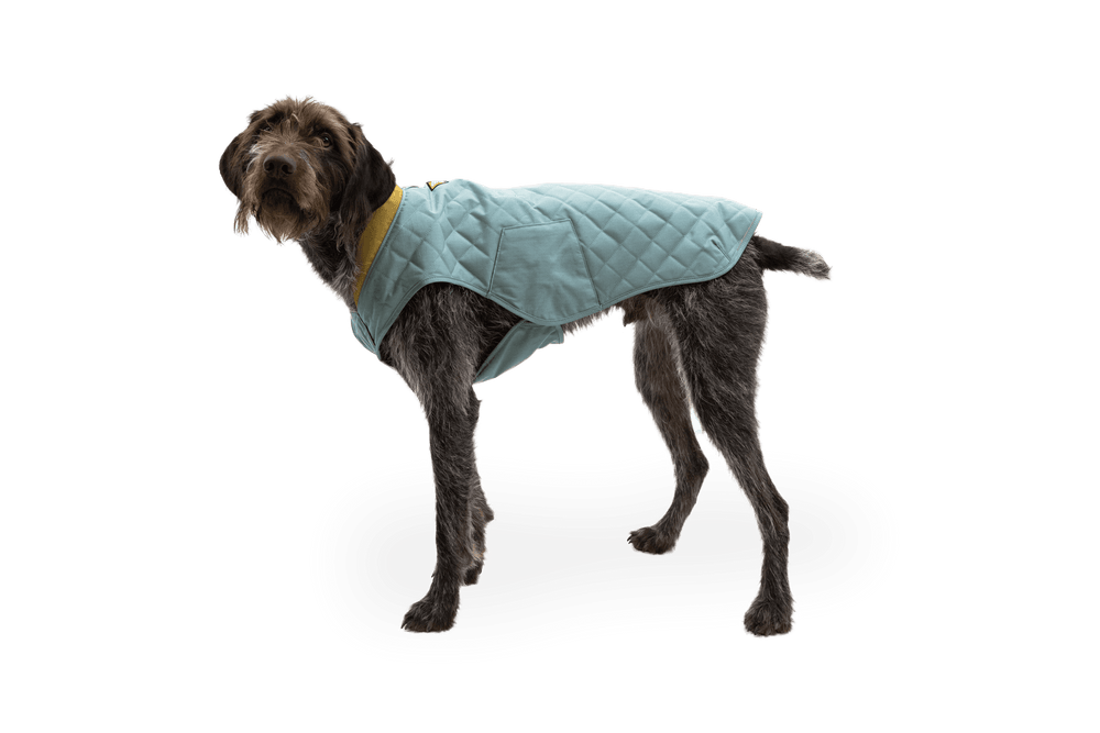 Blauer gesteppter Hundemantel von Stumptown auf einem grauen Hund vor schwarzem Hintergrund.
