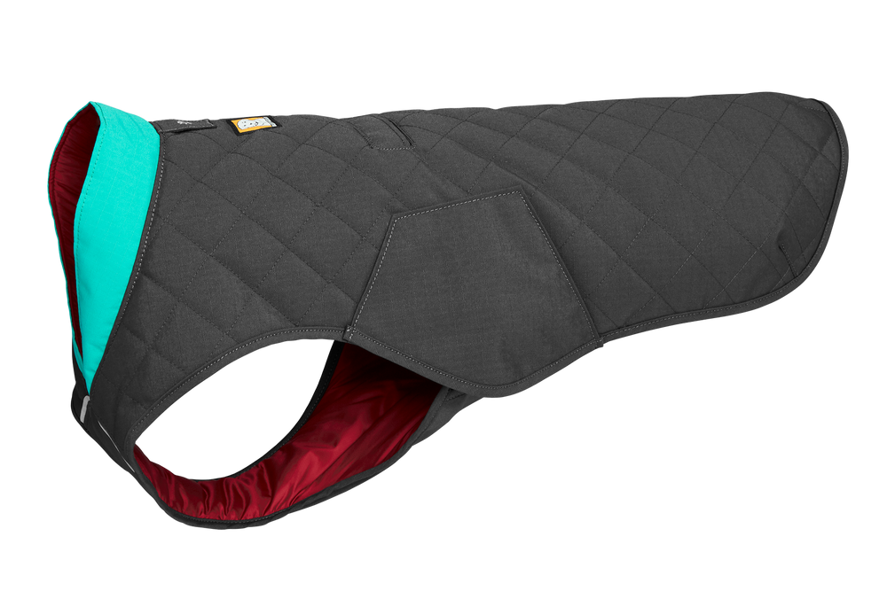 Gepolsterter Hundemantel in Schwarz mit hellblauem Kragen und rotem Innenfutter, ideal für kalte Tage.