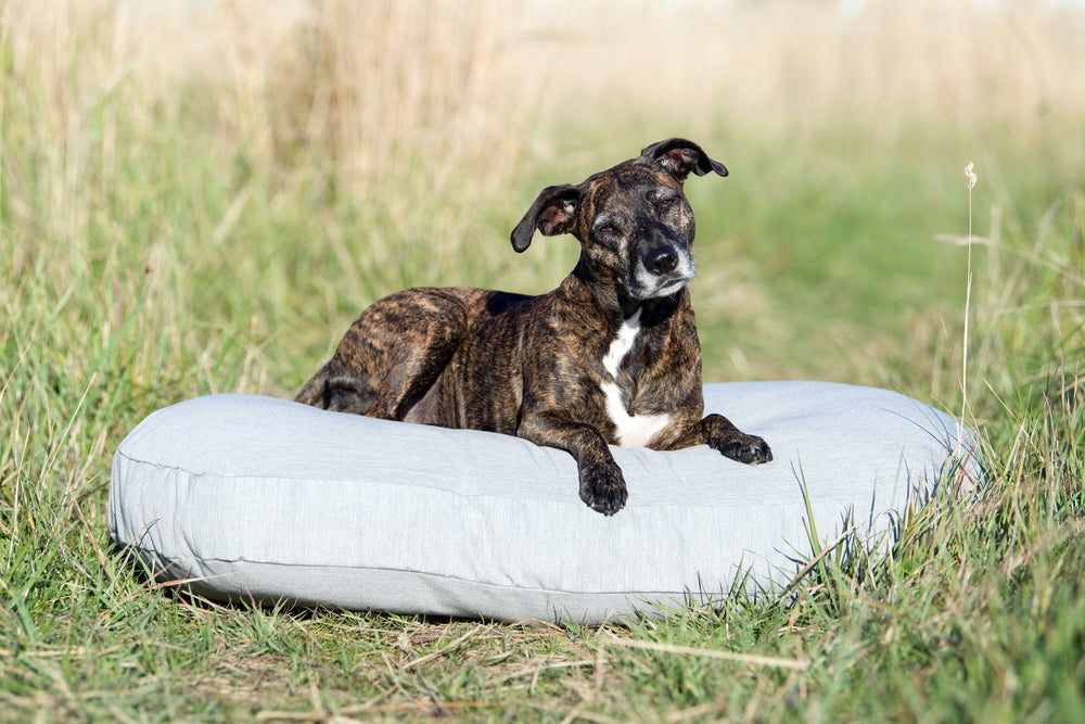Entspannter Hund auf grauem, rundem Hundebett im Grünen – PRADO Design-Hundebett CHIC für stilvolle Ruheorte.