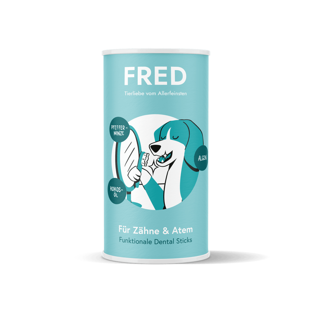 Türkise Verpackung der FRED Dental Sticks mit weißem und schwarzem Design, ideal für gesunde Zähne von Hunden.