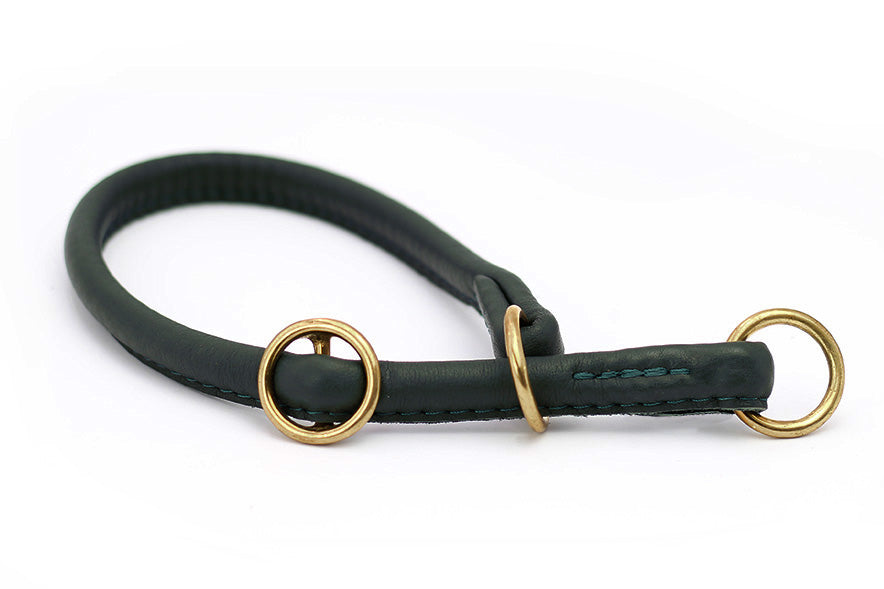 Elegantes hundehalsband aus grünem Leder mit goldenen D-Ringen und weicher Polsterung für optimalen Tragekomfort.