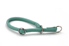 Türkisfarbenes, rundgenähtes Lederhalsband mit gepolsterten Kanten und zwei silbernen D-Ringen für optimalen Komfort.