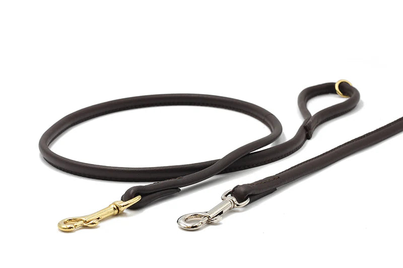 Elegante, braune Hundeleine aus Leder (1,20m) mit goldenen und silbernen Karabinerverschlüssen für optimalen Komfort.