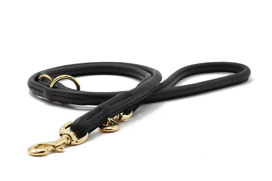 Schwarze Lederleine mit goldenen Beschlägen, 3m lang, zwei Haltegriffen und variabler Länge für Hunde.
