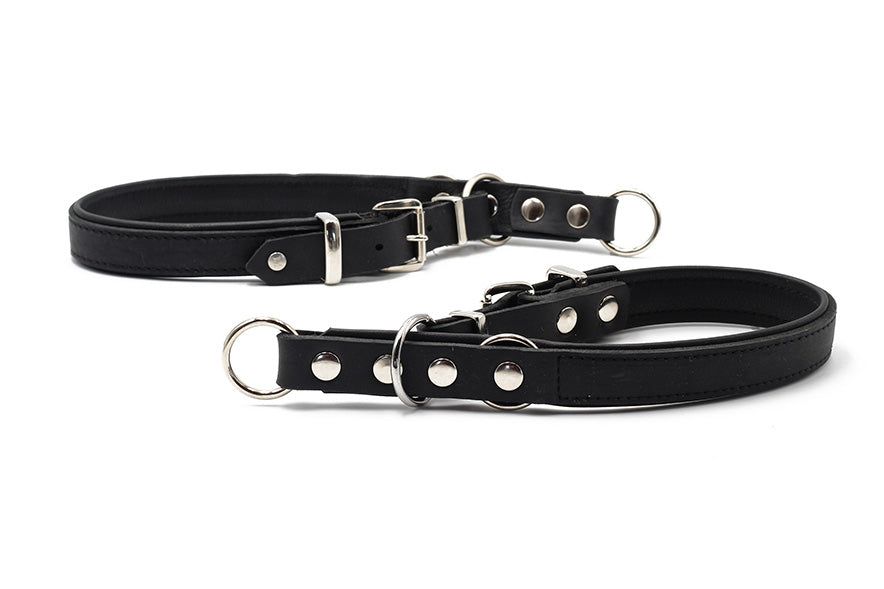 Elegante schwarze Hundeleinen aus Leder mit silbernen Metallbeschlägen und Karabinerhaken, ideal für stilvolle Tiere.