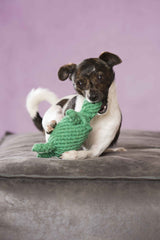 Kleiner Hund spielt fröhlich mit Tina Turtle, dem Kult-Spielzeug für Hunde, auf einer grauen Decke vor pinkfarbener Wand.