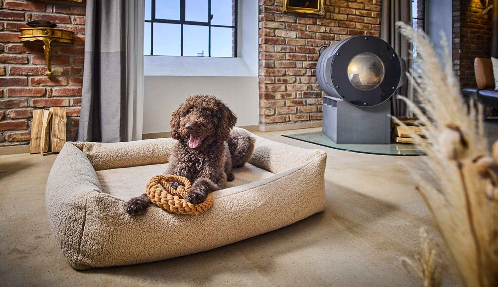 "Brauner Hund mit Mini Brezel-Spielzeug auf gemütlichem Bett in modernem Wohnambiente mit Backsteinwand und Kamin."