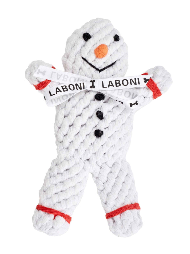 Shawn der Schneemann