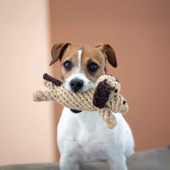 Kleiner Hund mit weiß-braunem Fell hält Kult-Spielzeug Doggy Dog aus Schnur im Maul, schaut freundlich in die Kamera.