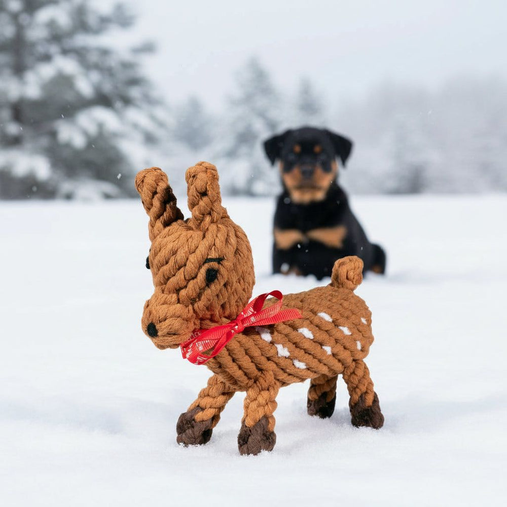"Braunes Rehkitz-Spielzeug aus Schnur mit rotem Band, im Hintergrund ein verschwommener Rottweiler-Hund."