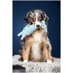 ALT-Text: Gestromter Hund mit einem blauen Spielzeug-Tier im Maul auf einer Decke vor blauem Hintergrund. Spielzeug-Set für Hunde.