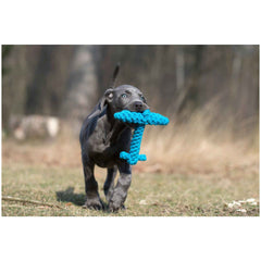 "Grauer Hund mit blauem Kreuz-Spielzeug von Ahoy LABONI läuft fröhlich über eine Wiese."