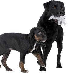 "Zwei Hunde mit schwarz-braunem Fell spielen mit dem Summer Safari Spielzeug-Set für Hunde."