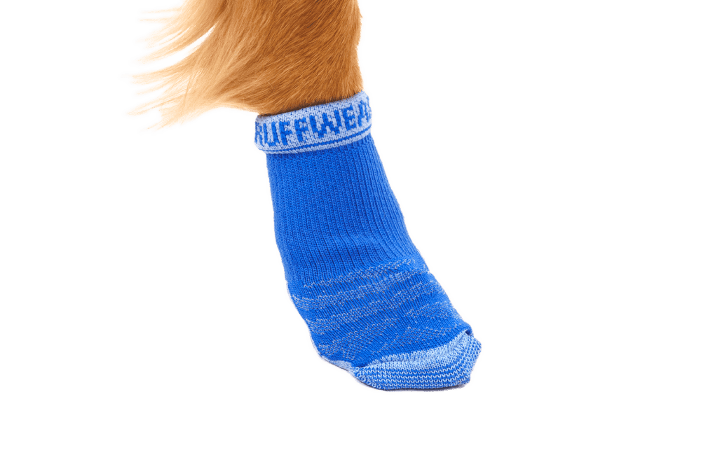 Blaue RUFFWEAR Hundesocke am Bein eines Hundes mit elastischem Bund für optimalen Halt.