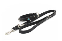 Schwarzes Lederhalsband und Leine mit silbernen Beschlägen und türkisfarbener Dekoration im San Francisco-Stil.