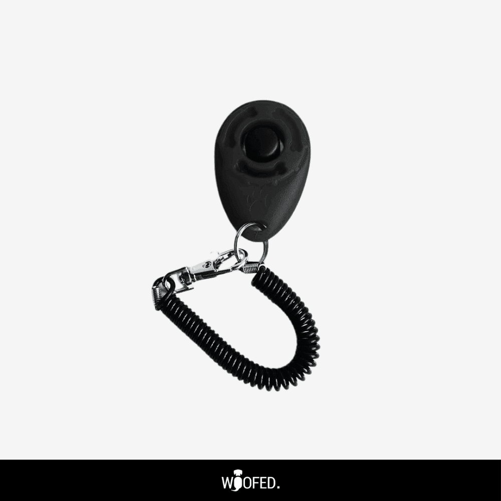 Schwarzer Hunde Clicker mit runder Klinge, Karabinerhaken und spiralförmigem Kabel für effektives Tiertraining.