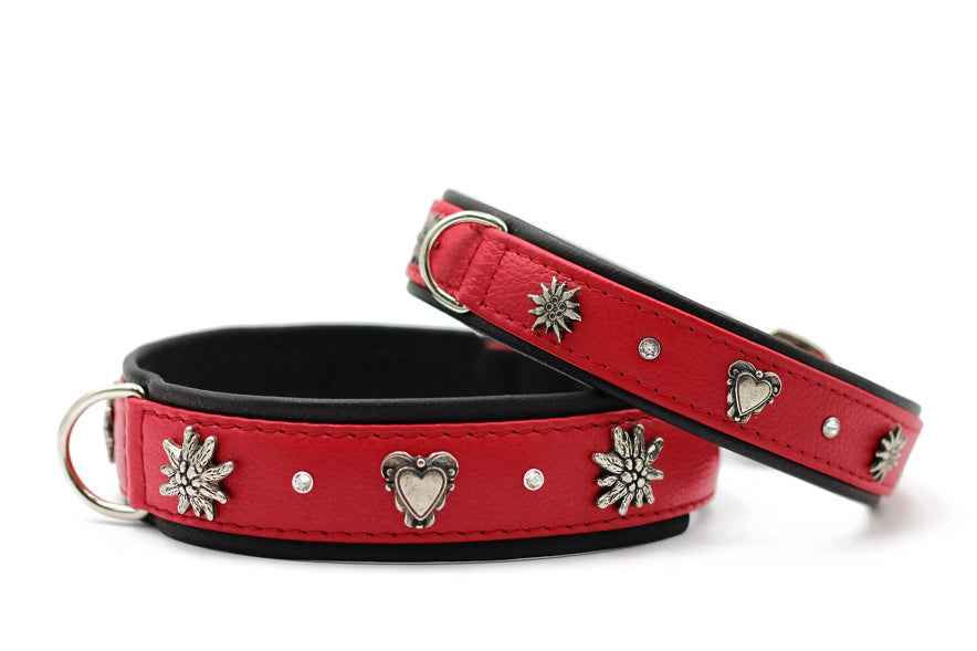 Rote Lederhundehalsbänder mit silbernen Herzen, Sternen und Glitzersteinen, schwarze Innenseite, stilvolles Design.