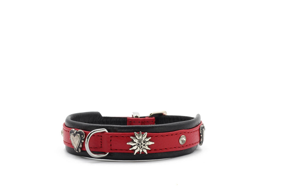 Rotes Lederhundehalsband mit silbernen Verzierungen, Herz und Kristallen, ideal für kleine Hunde.