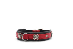 Rotes Lederhundehalsband mit silbernen Verzierungen, Herz und Kristallen, ideal für kleine Hunde.