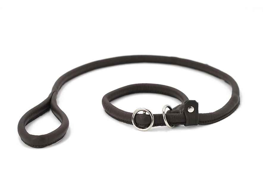 Dunkelbraune Lederleine für Hunde, klassisch und robust, mit runden Griff und Befestigungsring.