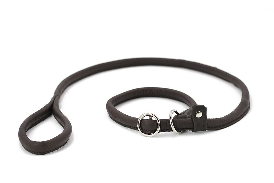 Dunkelbraune Lederhundeleine mit runder Schlaufe und Metallring, schlicht und elegant gestaltet.