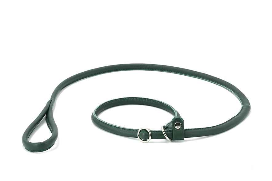 Grüne Lederhundeleine mit geschwungenem Design und Karabinerhaken zur sicheren Befestigung. Ideal für Retriever.