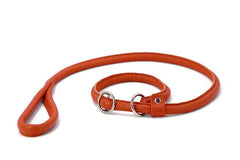 Orangefarbene Lederleine mit runden Griff und verstellbarem Halsring für Hunde. Hochwertige Verarbeitung und elegantes Design.