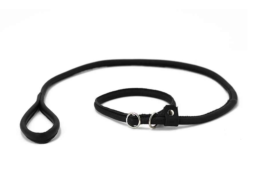 Schwarze Lederhundeleine mit Handgriff und zwei Ösen für komfortable Befestigung, schlichtes und funktionales Design.