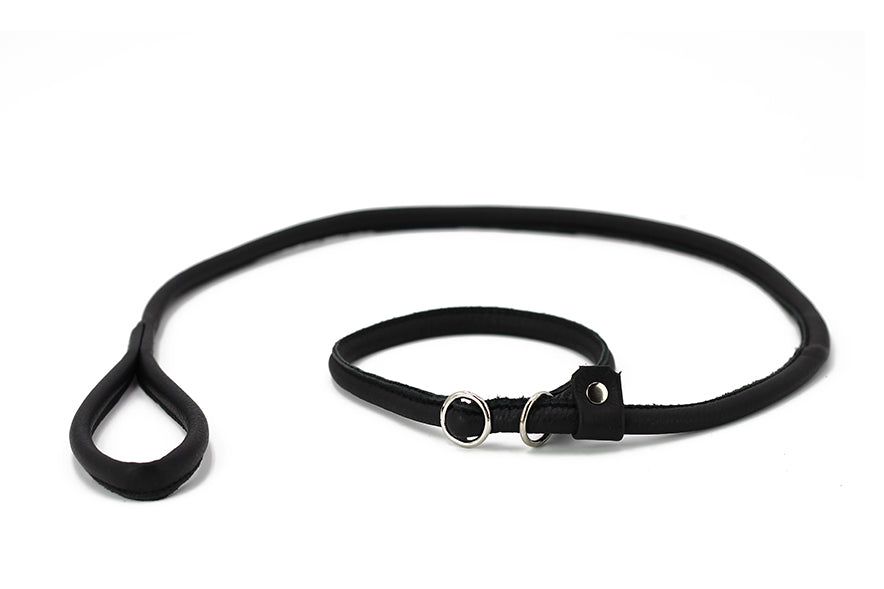 Schwarze Lederhundeleine mit Schlaufe und Metallringen für elegantes Gassigehen.