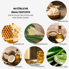 Pfoten- & Nasenbalsam 150ml mit natürlichen Inhaltsstoffen wie Sheabutter und Aloe Vera für gesunde Hundepfoten und -nasen.
