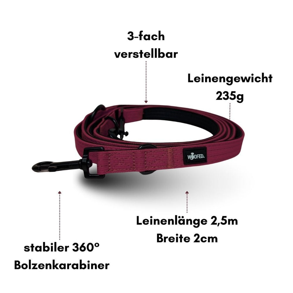 Lila Nylon Führleine Classic, 3-fach verstellbar, 2,5 m lang, 2 cm breit und wiegt 235 g. Ideal für Hunde.