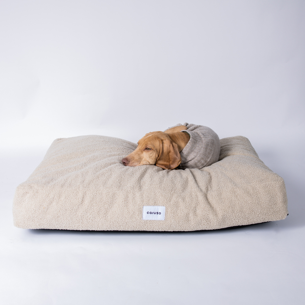 Großes, beiges Hundebett mit einem schlafenden Hund, der sich gemütlich zusammenrollt und den weichen Stoff genießt.