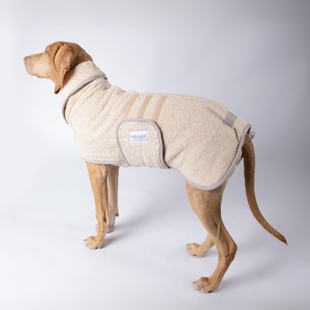 Hund im flauschigen Hundebademantel Cozy Hug mit Kragen, seitlich stehend und sicher mit Gurten befestigt.