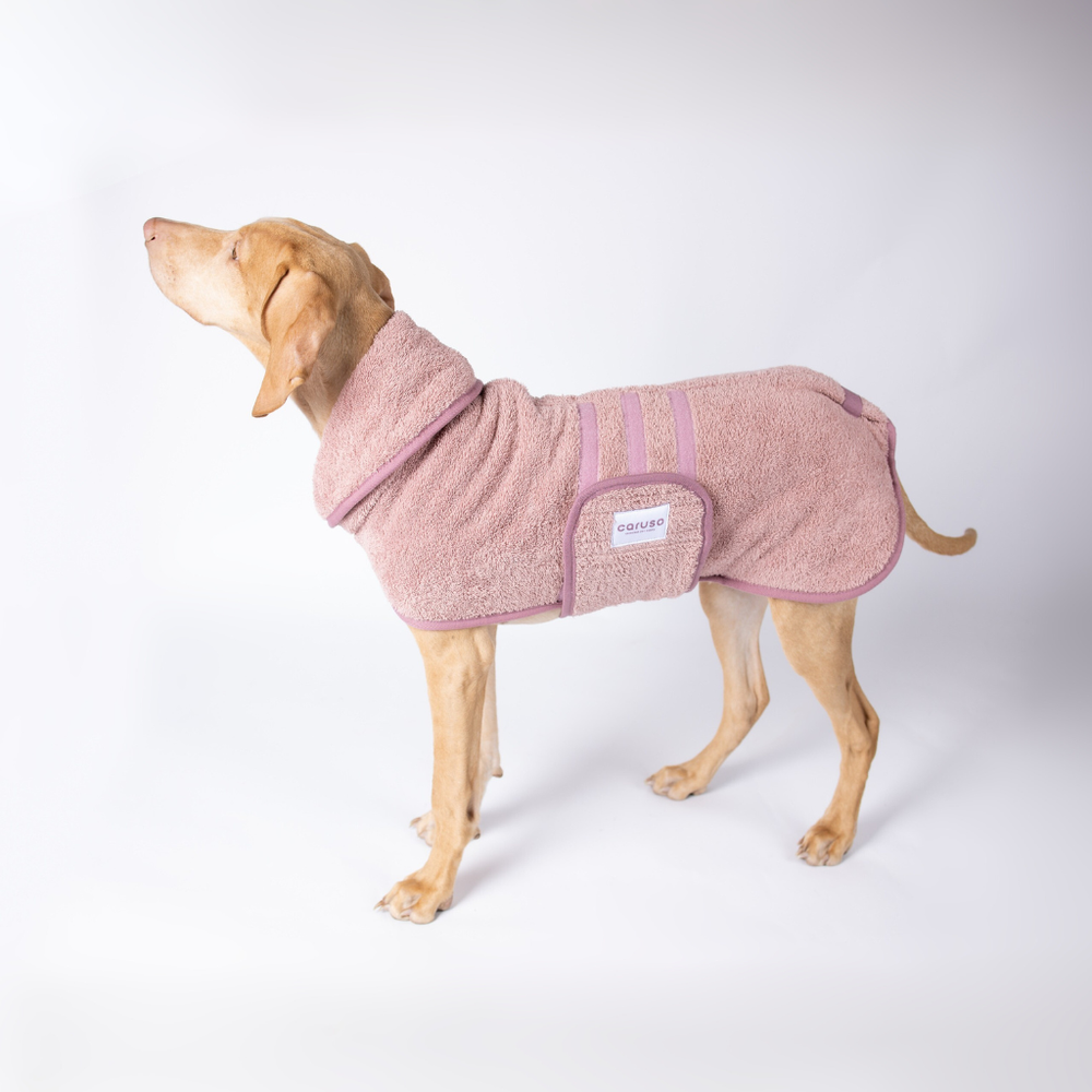 Hund im rosa Bademantel Cozy Hug mit Kapuze und Klettverschluss, schaut stolz nach oben.