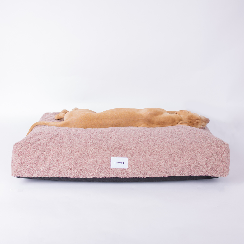 Entspannter Hund auf einem weichen, rosafarbenen Hundebett mit gepolsterter Oberfläche und dunkelgrauem Unterteil.