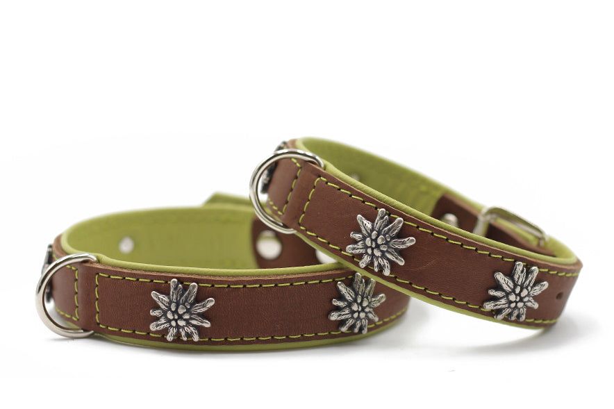Braunes Leder-Hundehalsband mit grüner Innenseite und metallischer Blütenverzierung, gelbe Nähte verleihen Stil.