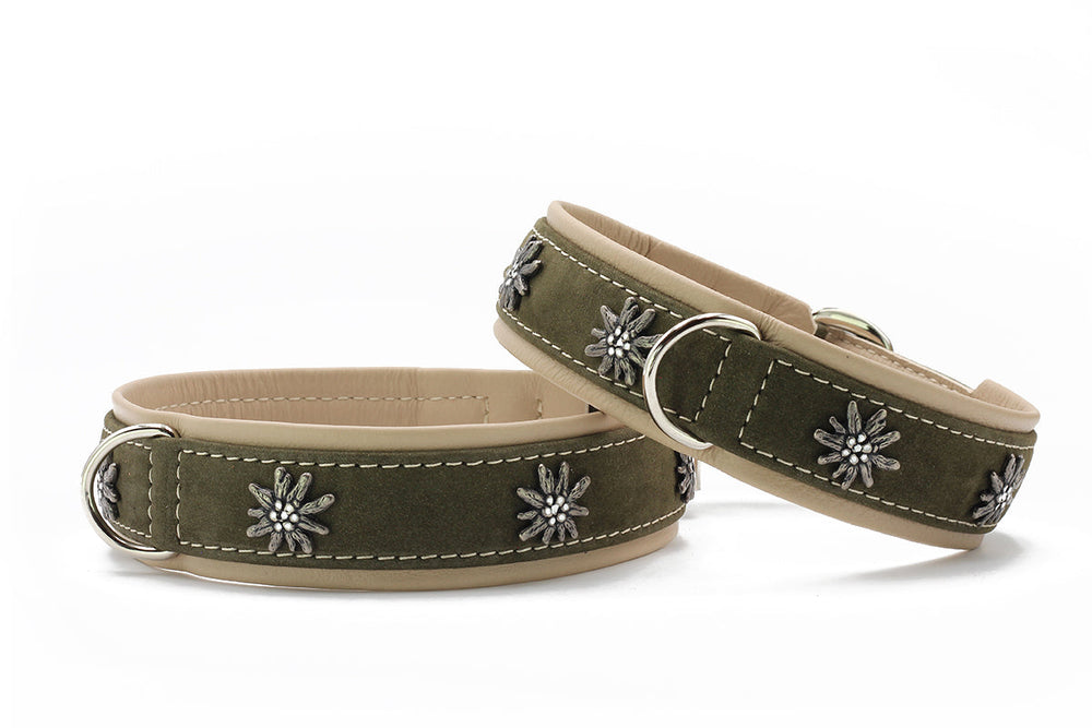 Zwei grüne Wildleder-Hundehalsbänder mit metallischen Blüten und gepolsterter Innenseite. Ideal für stilvolle Ausflüge.