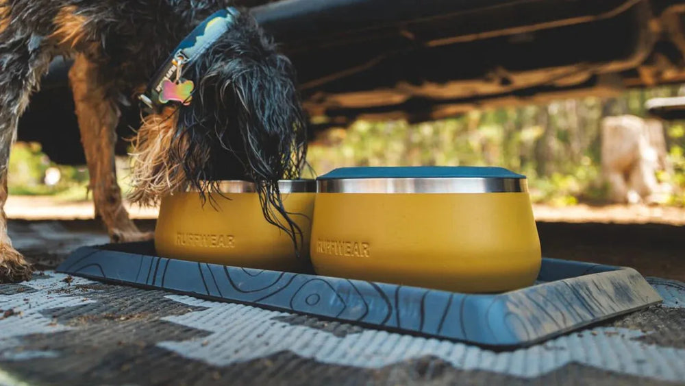Hunde fressen aus gelben Näpfen auf rutschfester Unterlage im Freien bei der Basecamp™ Dog Bowl Mat.