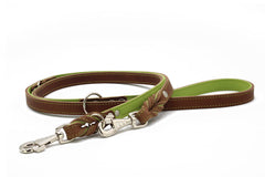 Hochwertige Lederleine Klassik Premium 2m in Mokka mit braun-grünem Leder und stabiler Metallschnalle.