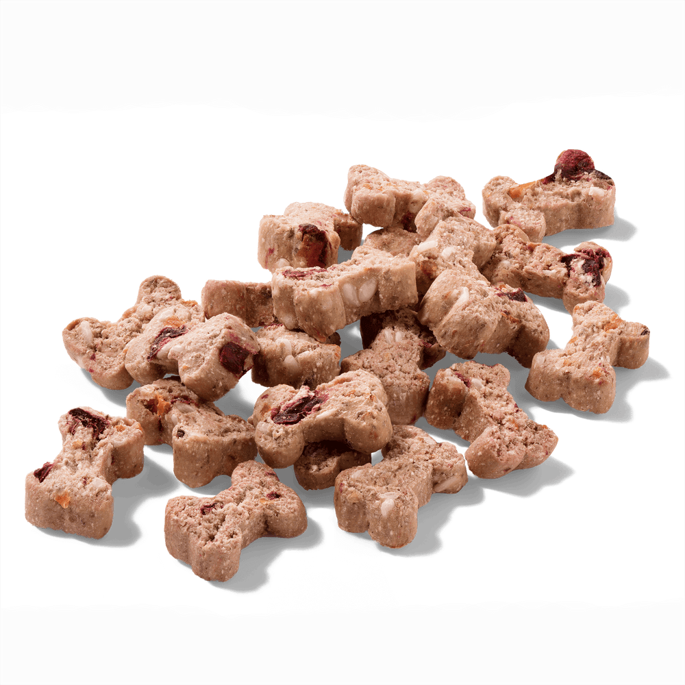 FRED Snacks Kaninchen & Rote Bete Minis für Hunde, getreidefrei, ideal für Training und Belohnungen, in bunten Formen.