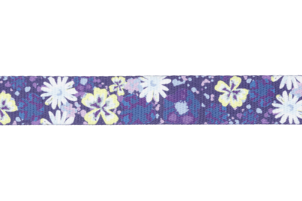 Dekoratives Front Range™ Hundehalsband mit buntem Blumenmuster auf lila Hintergrund. Frisch und fröhlich gestaltet.