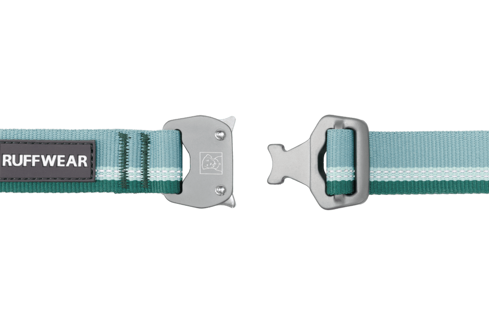 Top Rope™ Hundehalsband mit Metallschnalle in mintgrün und grau, ideal für Sicherheit und Komfort beim Spazieren.