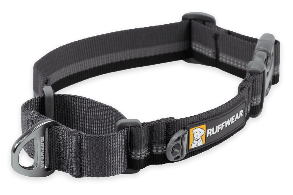 Robustes Web Reaction™ Martingal Hundehalsband von Ruffwear in Grau mit reflektierenden Elementen und stabilen Verschlüssen.