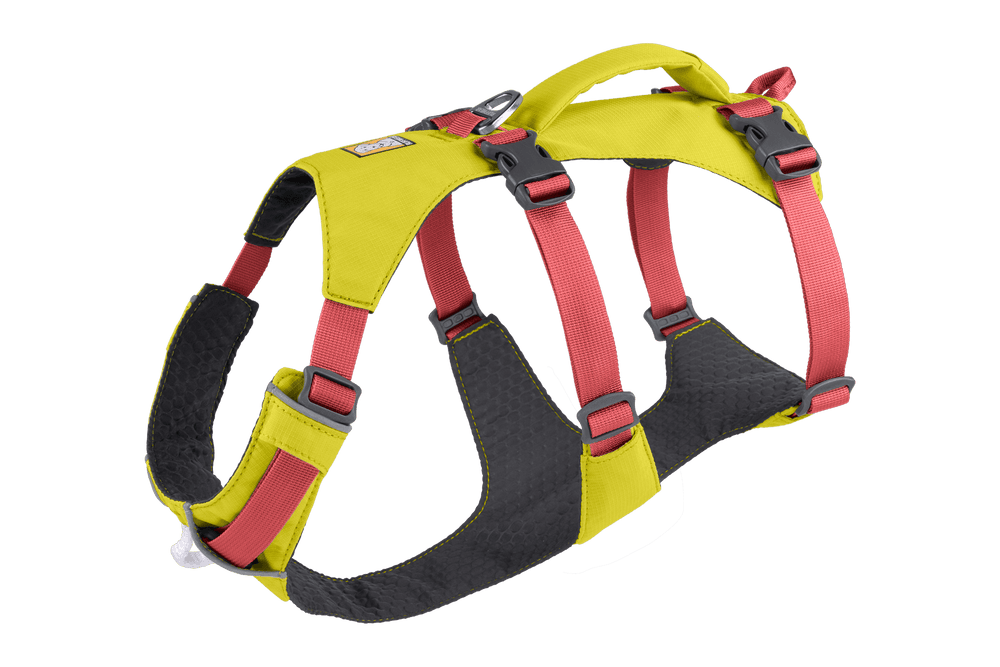 Robustes Flagline™ Hundegeschirr in Gelb und Schwarz mit roten Akzenten und verstellbaren Riemen für individuellen Sitz.