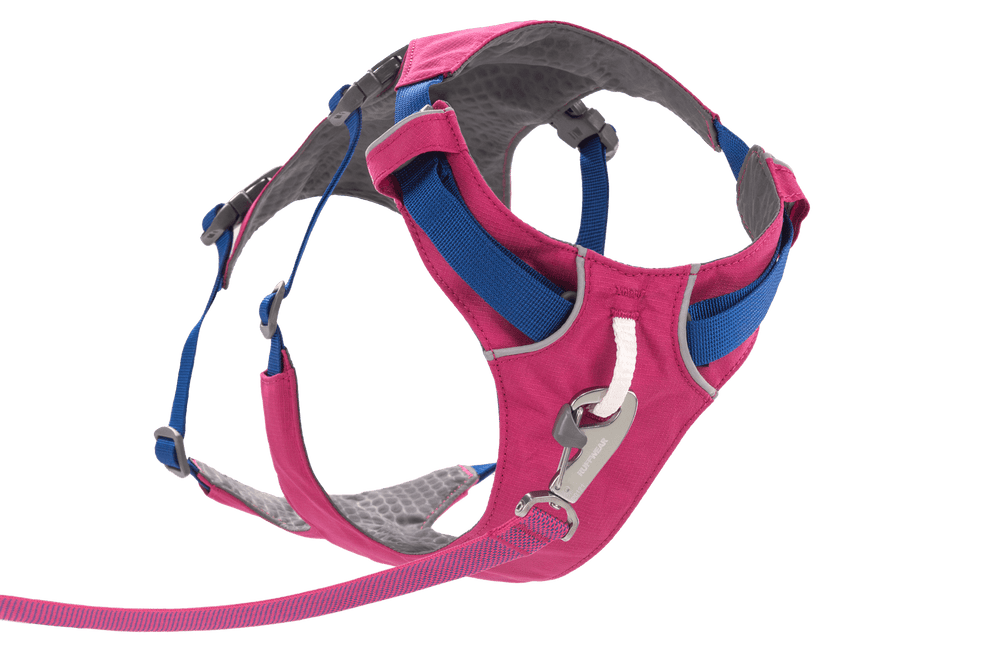 Rosa Hundegeschirr mit gepolsterten Gurten und verstärktem D-Ring, ideal für Spaziergänge und Komfort.