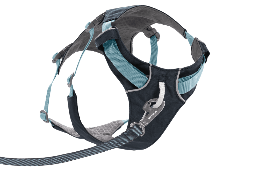 Flagline™ Hundegeschirr in schwarz mit blauen Akzenten, ergonomisch und gepolstert, ideal für Komfort und Kontrolle.