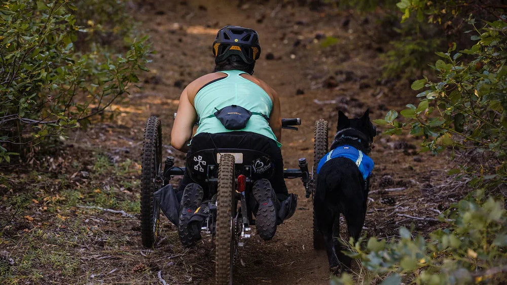 Person im Handbike auf Waldweg mit schwarzem Hund im blauen Geschirr, umgeben von Bäumen und Sträuchern.