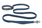Roamer™ Bungee Dog Leash